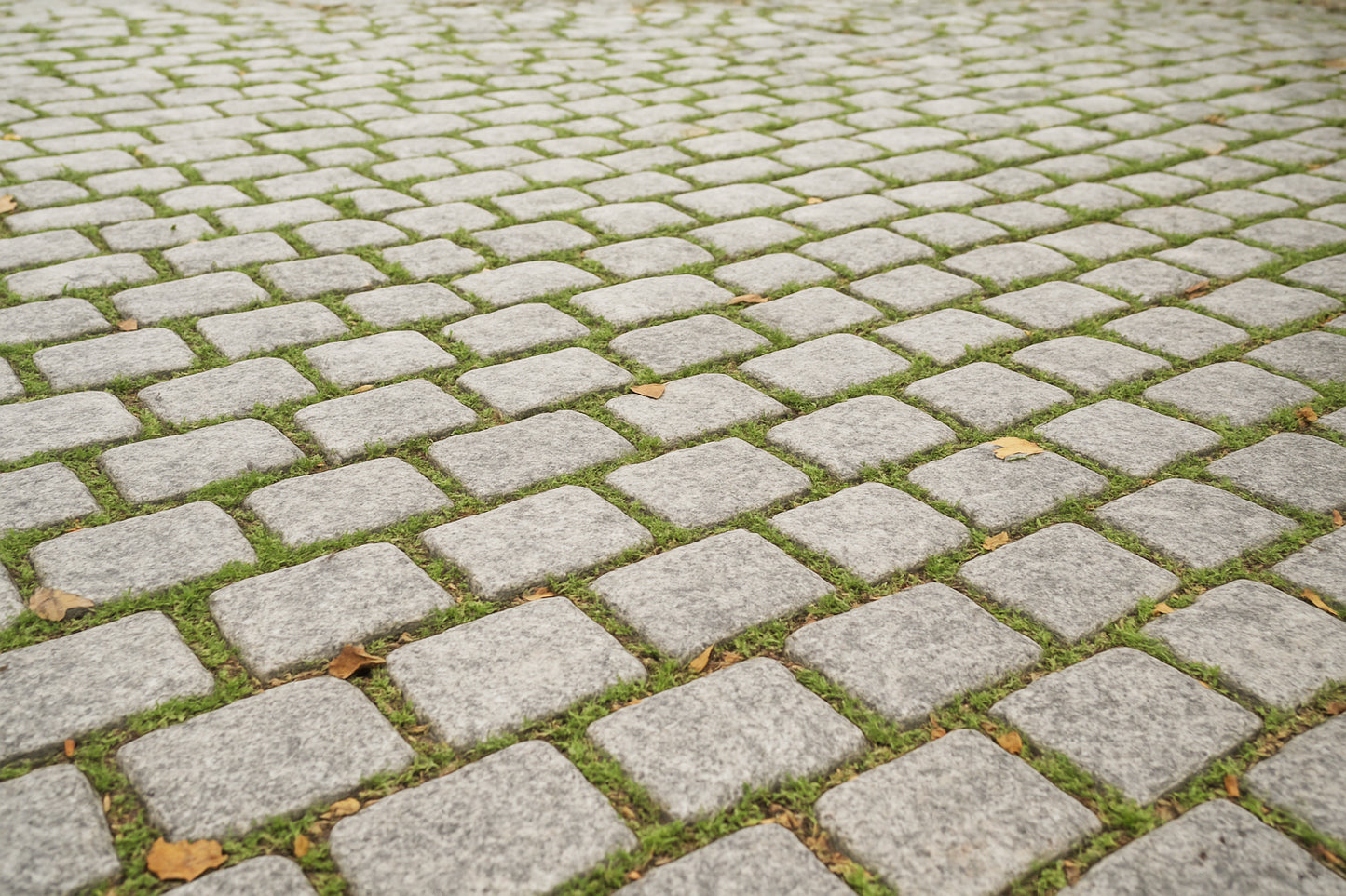 Bluestone Belgium Block