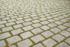 Bluestone Belgium Block