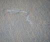 Alluvial Bluestone Natural Heavy Steps Kit