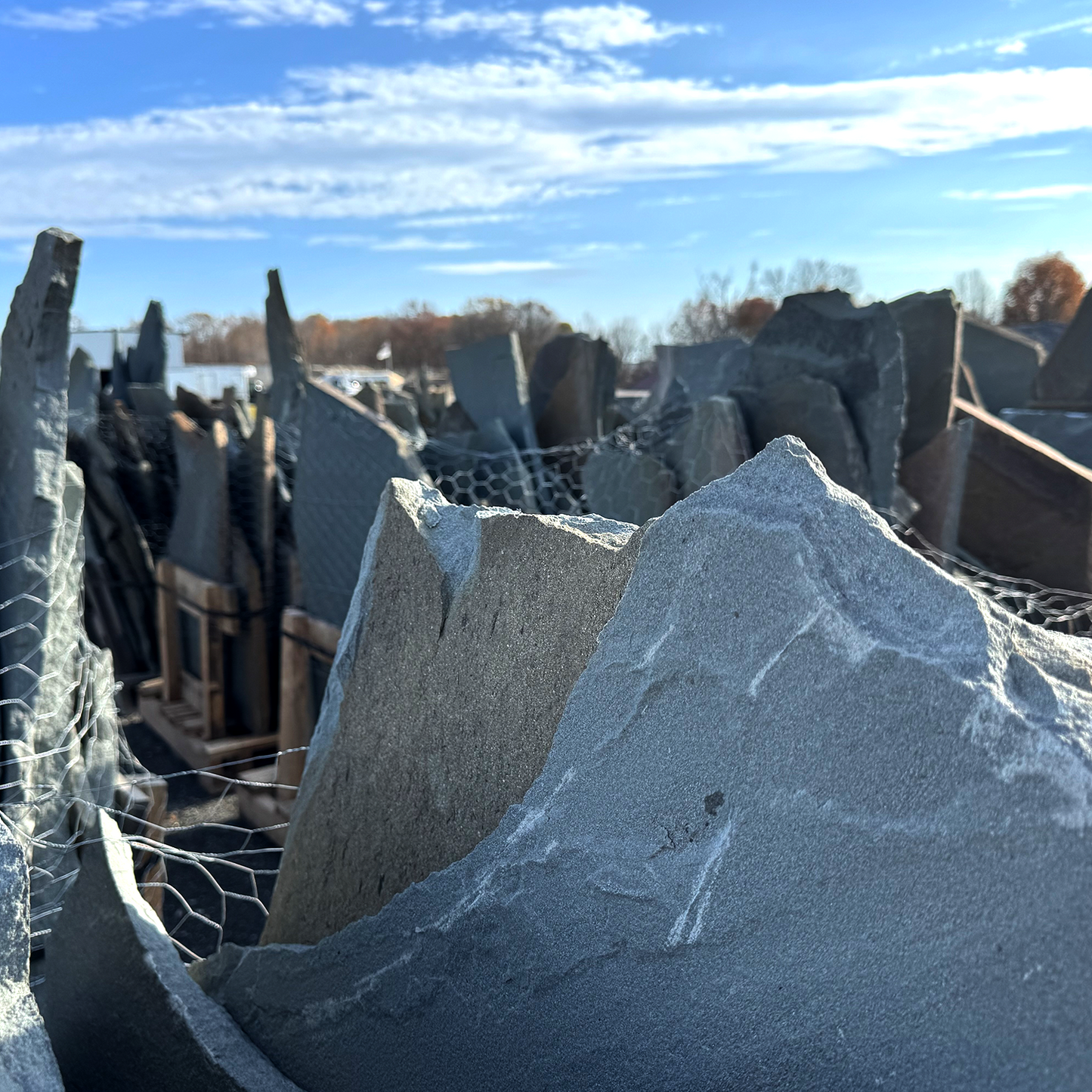 Bluestone Irregular Flagstone